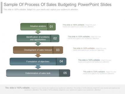 Sample of process of sales budgeting powerpoint slides