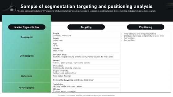 Sample Of Segmentation Targeting And Positioning Analysis