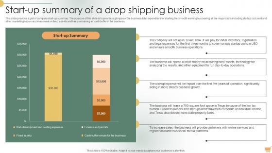 Sample Shopify Business Start Up Summary Of A Drop Shipping Business BP SS