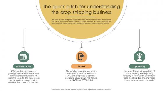 Sample Shopify Business The Quick Pitch For Understanding The Drop BP SS