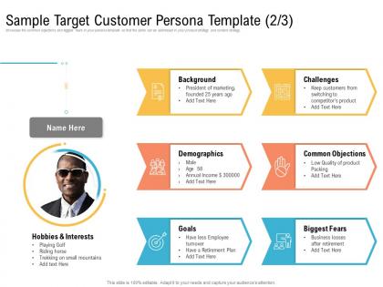 Sample target customer persona template biggest ppt diagrams