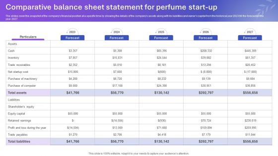 Sample Tom Ford Perfume Business Plan Comparative Balance Sheet Statement BP SS V