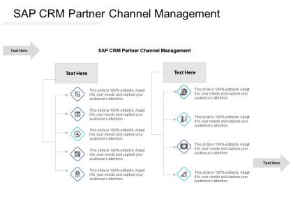 Sap crm partner channel management ppt powerpoint presentation example cpb