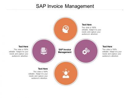 Sap invoice management ppt powerpoint presentation infographics visual aids cpb