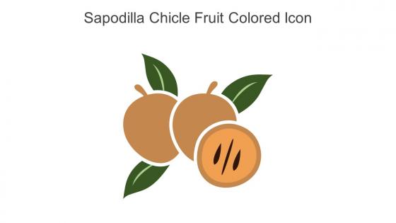 Sapodilla Chicle Fruit Colored Icon In Powerpoint Pptx Png And Editable Eps Format
