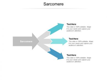 Sarcomere ppt powerpoint presentation professional themes cpb