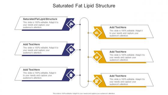 Saturated Fat Lipid Structure In Powerpoint And Google Slides Cpb