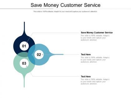 Save money customer service ppt powerpoint presentation infographic template slide cpb