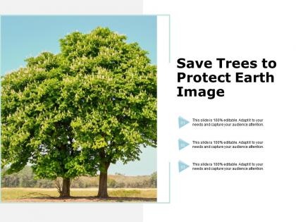 Save trees to protect earth image
