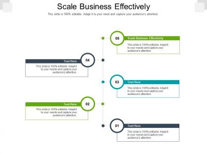 Scale business effectively ppt powerpoint presentation gallery graphic tips cpb