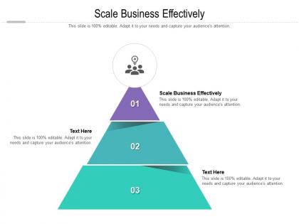 Scale business effectively ppt powerpoint presentation slides graphic images cpb