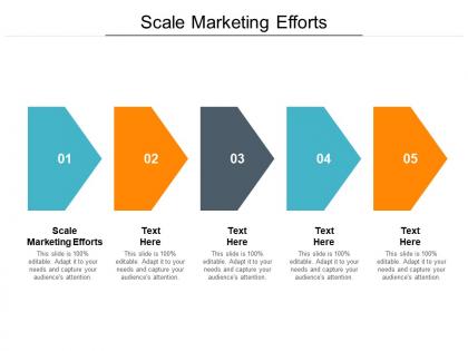 Scale marketing efforts ppt powerpoint presentation portfolio layout cpb