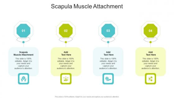 Scapula Muscle Attachment In Powerpoint And Google Slides Cpb