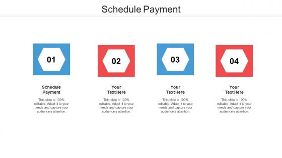 Schedule payment ppt powerpoint presentation graphics cpb