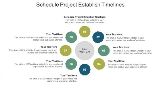 Schedule project establish timelines ppt powerpoint presentation infographics inspiration cpb