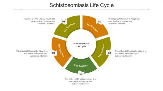 Schistosomiasis life cycle ppt powerpoint presentation icon example file cpb