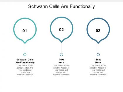 Schwann cells are functionally ppt powerpoint presentation inspiration slides cpb