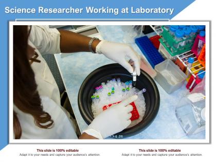 Science researcher working at laboratory