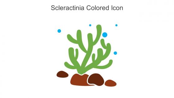 Scleractinia Colored Icon In Powerpoint Pptx Png And Editable Eps Format