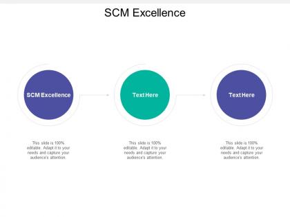 Scm excellence ppt powerpoint presentation outline templates cpb