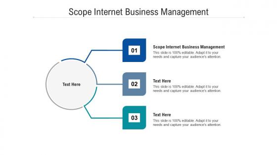 Scope internet business management ppt powerpoint presentation professional information cpb