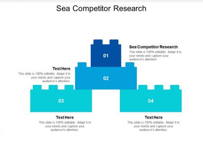 Sea competitor research ppt powerpoint presentation file gallery cpb