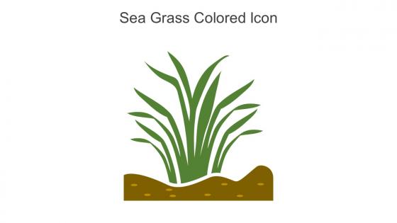 Sea Grass Colored Icon In Powerpoint Pptx Png And Editable Eps Format