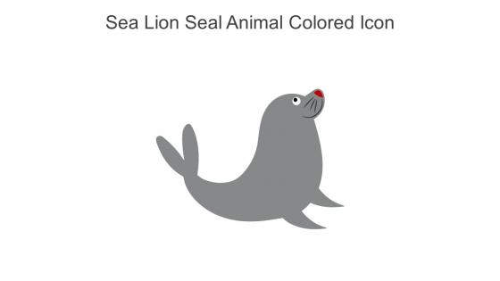 Sea Lion Seal Animal Colored Icon In Powerpoint Pptx Png And Editable Eps Format