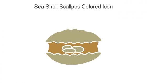 Sea Shell Scallpos Colored Icon In Powerpoint Pptx Png And Editable Eps Format