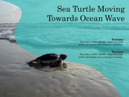 Sea turtle moving towards ocean wave