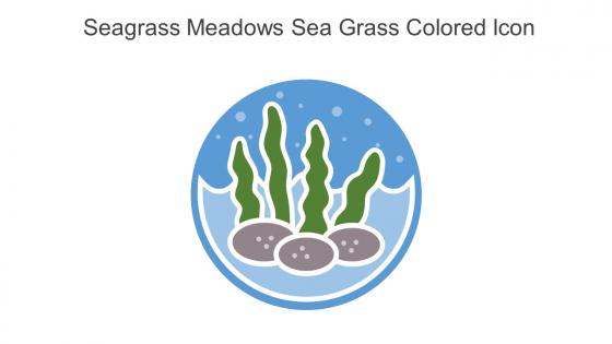 Seagrass Meadows Sea Grass Colored Icon In Powerpoint Pptx Png And Editable Eps Format