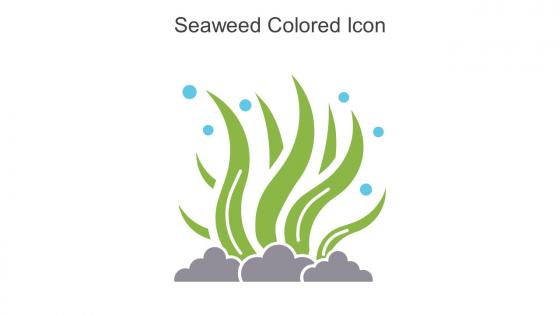 Seaweed Colored Icon In Powerpoint Pptx Png And Editable Eps Format