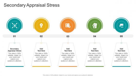 Secondary Appraisal Stress In Powerpoint And Google Slides Cpb