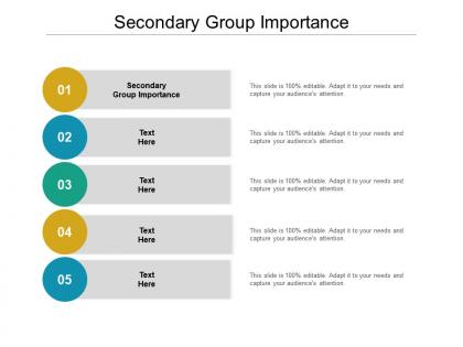 Secondary group importance ppt powerpoint presentation visual aids example file cpb