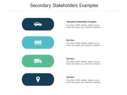 Secondary stakeholders examples ppt powerpoint presentation infographic template portfolio cpb
