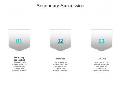 Secondary succession ppt powerpoint presentation ideas display cpb