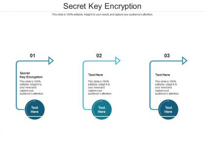 Secret key encryption ppt powerpoint presentation summary mockup cpb