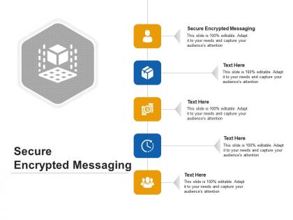 Secure encrypted messaging ppt powerpoint presentation icon styles cpb