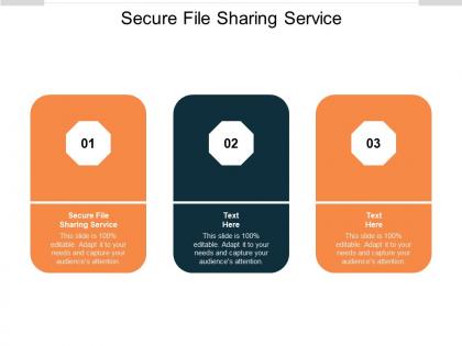 Secure file sharing service ppt powerpoint presentation model elements cpb