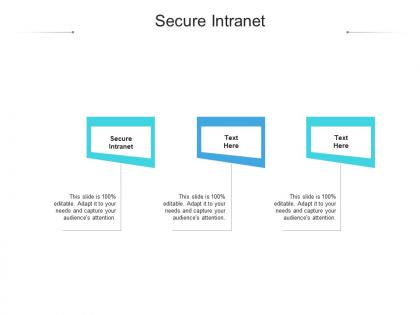 Secure intranet ppt powerpoint presentation inspiration design ideas cpb
