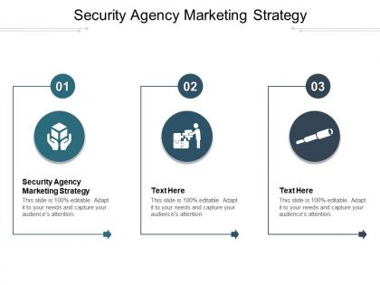 Security agency marketing strategy ppt powerpoint presentation show cpb