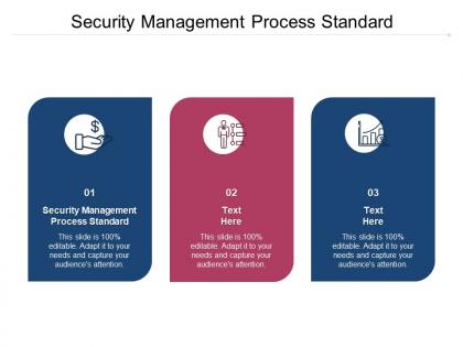 Security management process standard ppt powerpoint presentation summary cpb