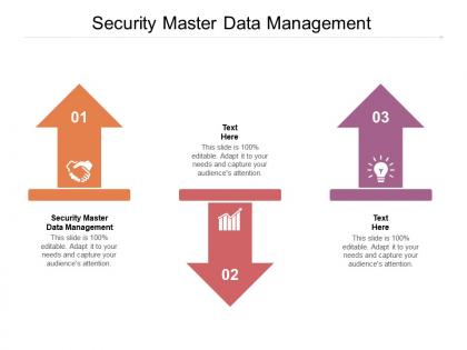 Security master data management ppt powerpoint presentation gallery gridlines cpb