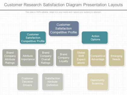 See customer research satisfaction diagram presentation layouts