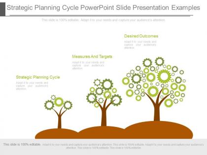 See strategic planning cycle powerpoint slide presentation examples