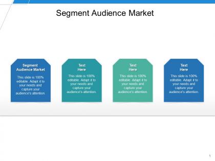 Segment audience market ppt powerpoint presentation infographics icon cpb