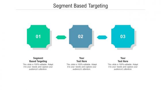 Segment based targeting ppt powerpoint presentation summary guidelines cpb