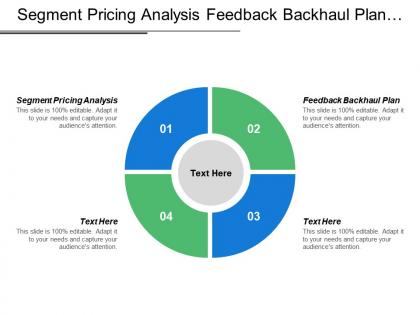 Segment pricing analysis feedback backhaul plan strategy leader