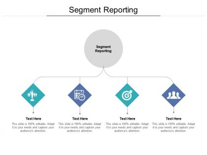 Segment reporting ppt powerpoint presentation infographic template infographic template cpb