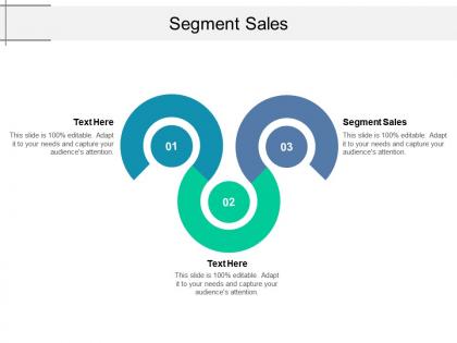Segment sales ppt powerpoint presentation infographic template format cpb
